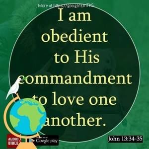 Meet your Posher, Audrey